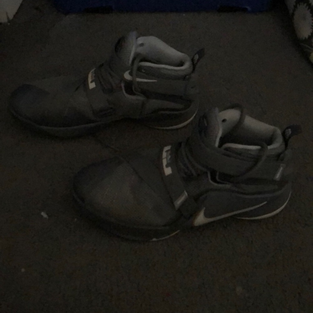 Grey lebrons
